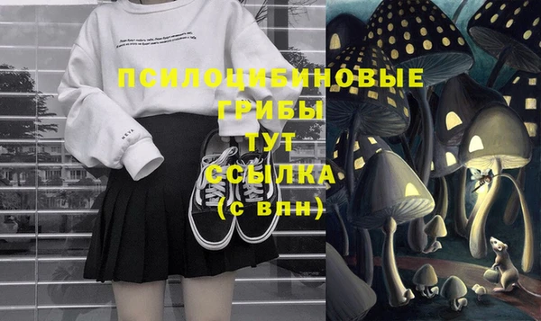 ECSTASY Алексин